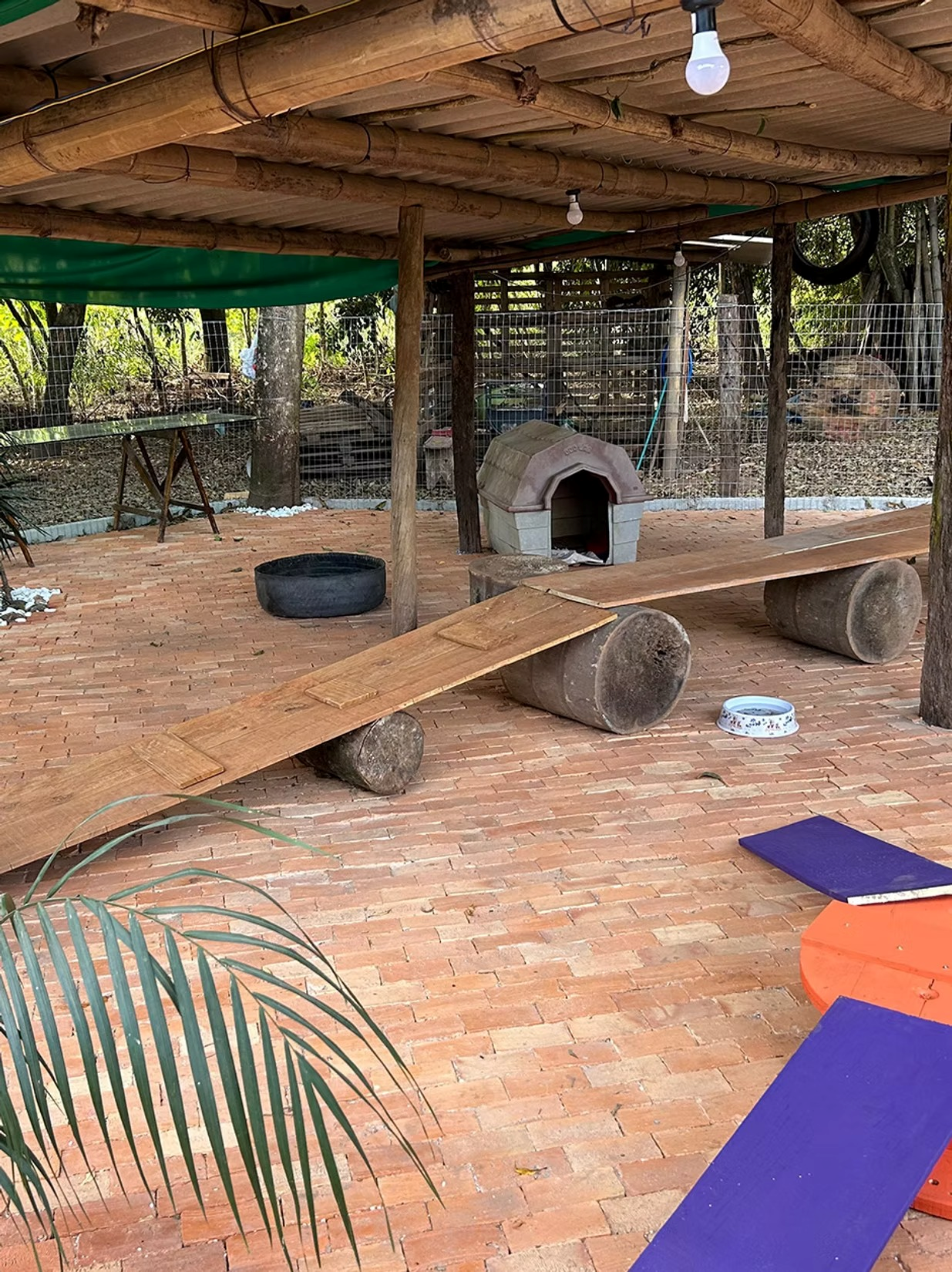 Diária de hospedagem para cachorro