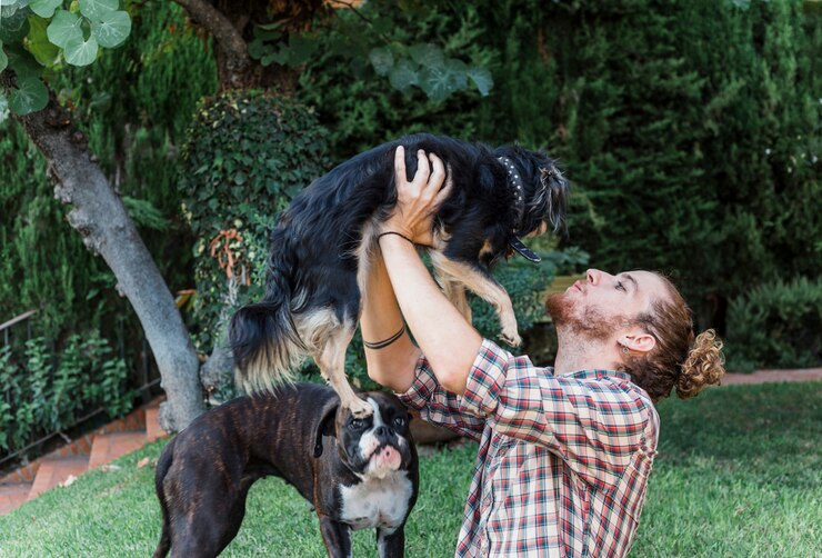 Hotel para cachorro com recreação