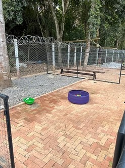 Hotelzinho para pet perto de mim